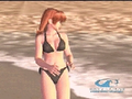 Dead or Alive Xtreme Beach Volleyball thumbnail 15
