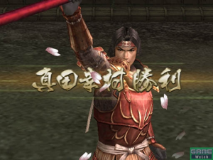 Sengoku Musou 2 (PlayStation2 the Best)