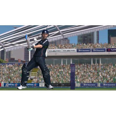 International Cricket 2010 image 2
