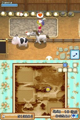 Harvest Moon DS: Grand Bazaar image 11
