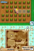 Harvest Moon DS: Grand Bazaar thumbnail 3