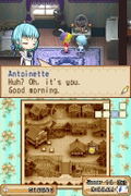 Harvest Moon DS: Grand Bazaar thumbnail 5