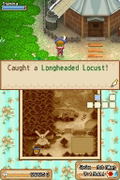 Harvest Moon DS: Grand Bazaar thumbnail 7
