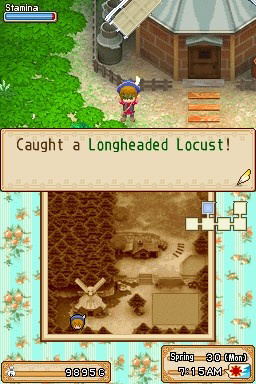 Harvest Moon DS: Grand Bazaar image 7