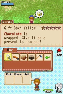 Harvest Moon DS: Grand Bazaar image 8