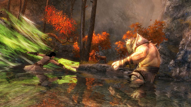 Guild Wars 2 (DVD-ROM) image 11