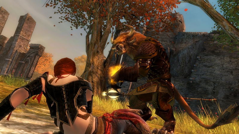Guild Wars 2 (DVD-ROM) image 6