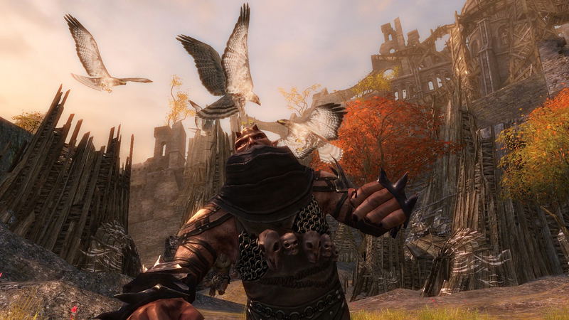 Guild Wars 2 (DVD-ROM) image 8
