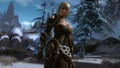 Guild Wars 2 (DVD-ROM) thumbnail 9