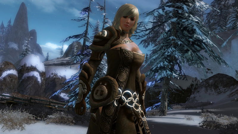 Guild Wars 2 (DVD-ROM) image 9