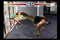 Tekken 4 thumbnail 6