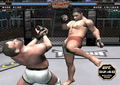 UFC2 Tapout thumbnail 18