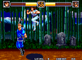 World Heroes 2 Jet thumbnail 6