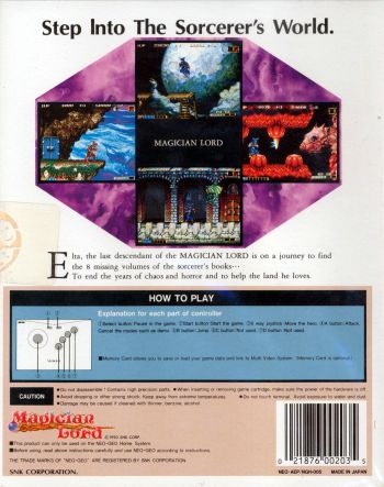 Magician Lord image 2