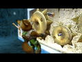 Star Fox Adventures thumbnail 9