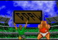 Fever Pitch Soccer thumbnail 7