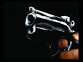 Critical Bullet: 7th Target thumbnail 3