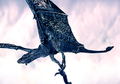 Reign of Fire thumbnail 8