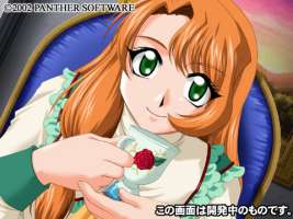 Braveknight: The Knight of Lieveland image 6