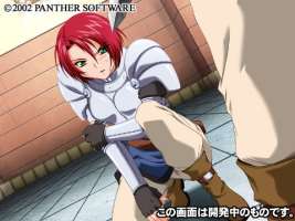 Braveknight: The Knight of Lieveland image 8