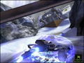 Quantum Redshift thumbnail 5