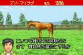 Derby Stallion Advance thumbnail 2
