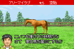 Derby Stallion Advance image 2