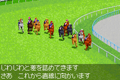 Derby Stallion Advance image 3