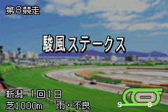Derby Stallion Advance image 4