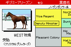 Derby Stallion Advance image 5