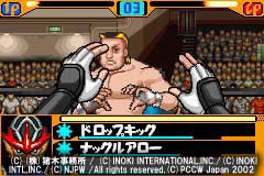 Fighting Spirits Heat image 2