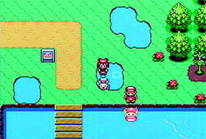 Pokemon: Ruby Version image 3