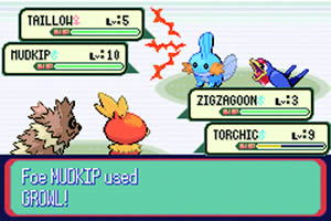 Pokemon: Ruby Version image 8