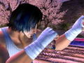 Virtua Fighter 4 Evolution thumbnail 2