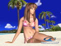 Dead or Alive: Xtreme Beach Volleyball thumbnail 3