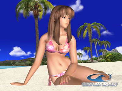 Dead or Alive: Xtreme Beach Volleyball image 3