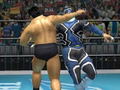 The Wild Rings thumbnail 2