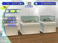 J-League Pro Soccer Club o Tsukurou! 3 thumbnail 3