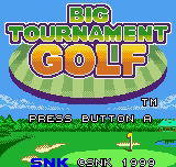 Big Tournament Golf image 3