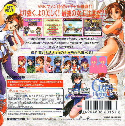 Gals Fighters image 2