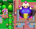 Bomberman Land 2 thumbnail 2