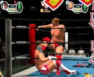 All Star Pro-Wrestling III image 4