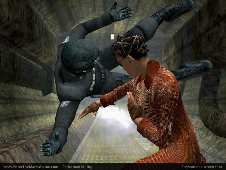 Enter the Matrix image 2