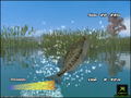 Lakemasters: Bass Fishing Game thumbnail 4