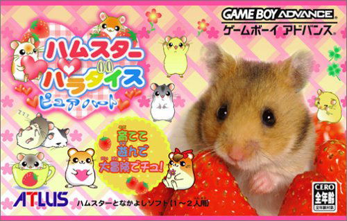 Outlets Gameboy Color Game Japan Hamsters Paradi