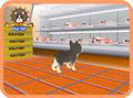 Mezamashi Telebi 10th Anniversary: Kyounowanko thumbnail 3