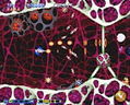 Gradius Gaiden (PSOne Books) thumbnail 2