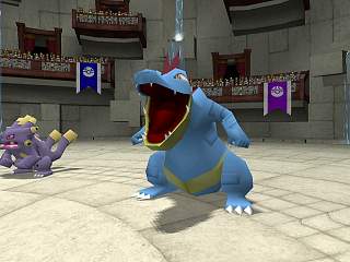 Pokemon Colosseum image 8