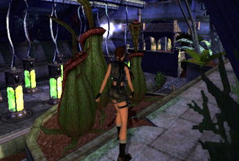Lara Croft - Tomb Raider: The Angel of Darkness image 11