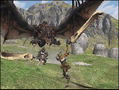 Monster Hunter thumbnail 7